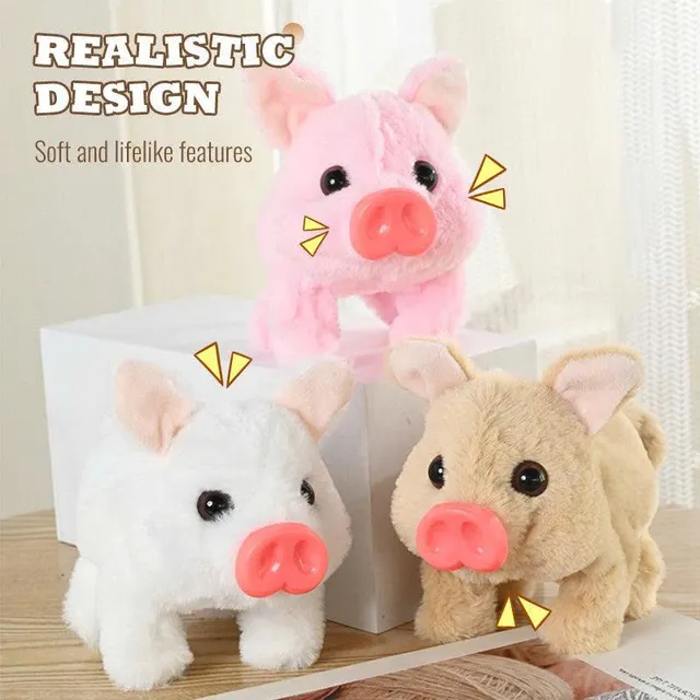 /68fc27fda9d07c000906501d/2025/10/25/product-img-68fc2f6e70bd325c841cd51b.png